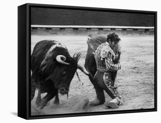 Matador Manuel Benitez, Performing Series of Passes on His Knees-Loomis Dean-Framed Premier Image Canvas