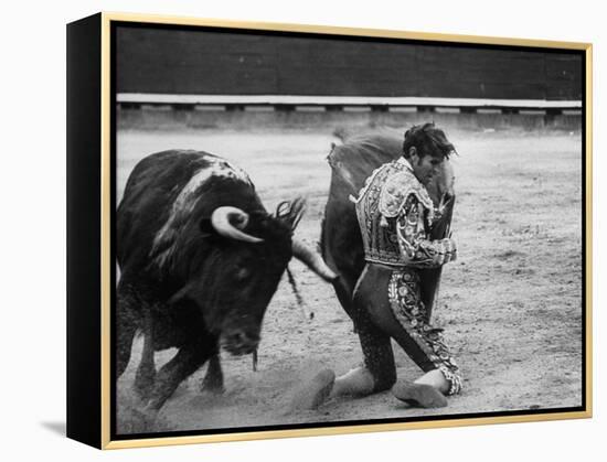 Matador Manuel Benitez, Performing Series of Passes on His Knees-Loomis Dean-Framed Premier Image Canvas