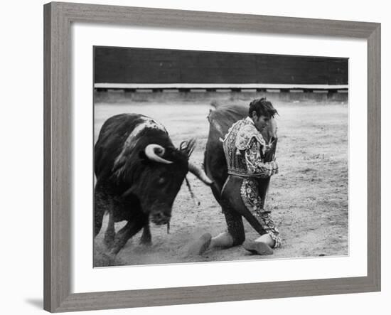 Matador Manuel Benitez, Performing Series of Passes on His Knees-Loomis Dean-Framed Premium Photographic Print