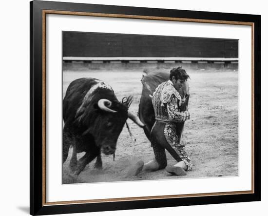 Matador Manuel Benitez, Performing Series of Passes on His Knees-Loomis Dean-Framed Premium Photographic Print