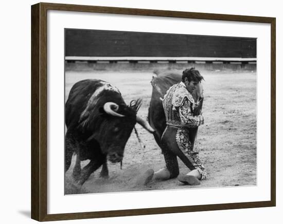 Matador Manuel Benitez, Performing Series of Passes on His Knees-Loomis Dean-Framed Premium Photographic Print