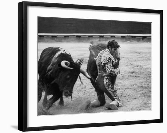 Matador Manuel Benitez, Performing Series of Passes on His Knees-Loomis Dean-Framed Premium Photographic Print