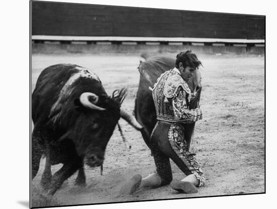 Matador Manuel Benitez, Performing Series of Passes on His Knees-Loomis Dean-Mounted Premium Photographic Print