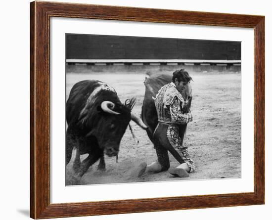 Matador Manuel Benitez, Performing Series of Passes on His Knees-Loomis Dean-Framed Premium Photographic Print