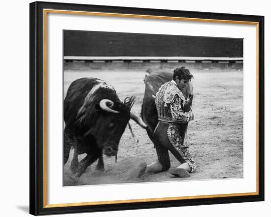 Matador Manuel Benitez, Performing Series of Passes on His Knees-Loomis Dean-Framed Premium Photographic Print