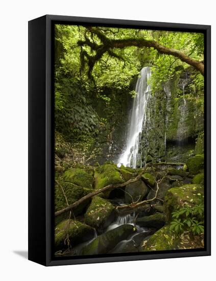 Matai Falls, Catlins, South Otago, South Island, New Zealand-David Wall-Framed Premier Image Canvas