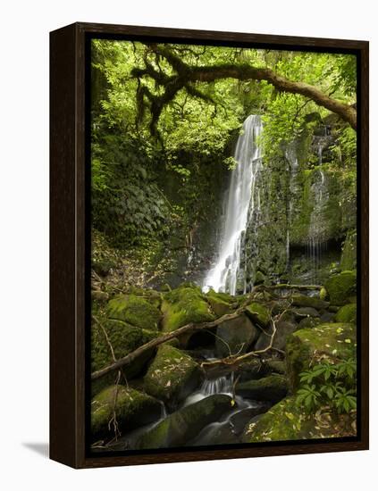 Matai Falls, Catlins, South Otago, South Island, New Zealand-David Wall-Framed Premier Image Canvas