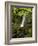 Matai Falls, Catlins, South Otago, South Island, New Zealand-David Wall-Framed Photographic Print