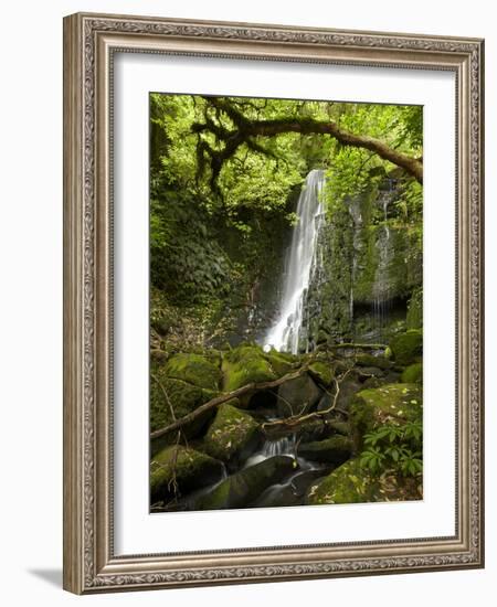 Matai Falls, Catlins, South Otago, South Island, New Zealand-David Wall-Framed Photographic Print