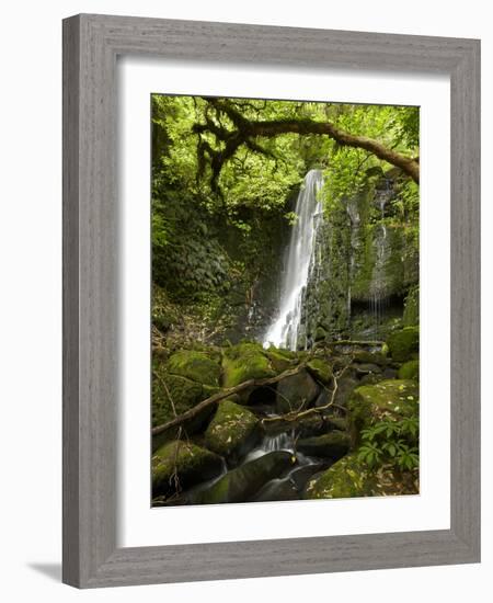 Matai Falls, Catlins, South Otago, South Island, New Zealand-David Wall-Framed Photographic Print