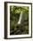 Matai Falls, Catlins, South Otago, South Island, New Zealand-David Wall-Framed Photographic Print