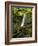 Matai Falls, Catlins, South Otago, South Island, New Zealand-David Wall-Framed Photographic Print