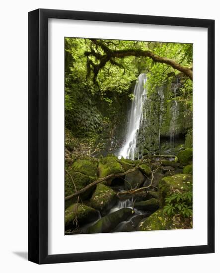 Matai Falls, Catlins, South Otago, South Island, New Zealand-David Wall-Framed Photographic Print