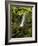 Matai Falls, Catlins, South Otago, South Island, New Zealand-David Wall-Framed Photographic Print