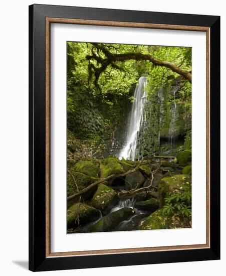 Matai Falls, Catlins, South Otago, South Island, New Zealand-David Wall-Framed Photographic Print