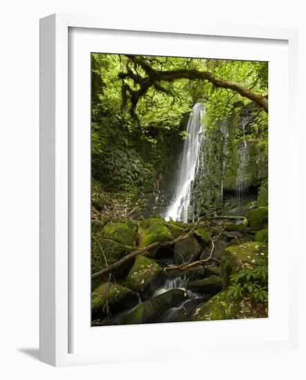 Matai Falls, Catlins, South Otago, South Island, New Zealand-David Wall-Framed Photographic Print