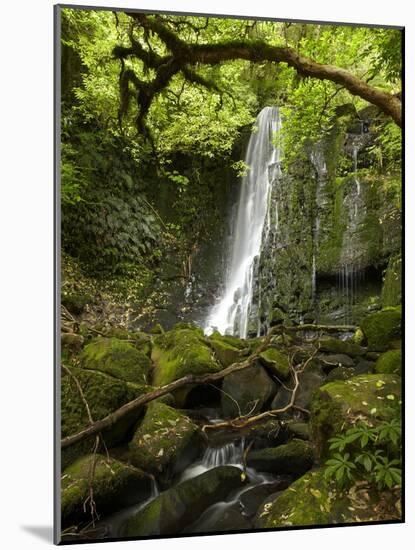 Matai Falls, Catlins, South Otago, South Island, New Zealand-David Wall-Mounted Photographic Print