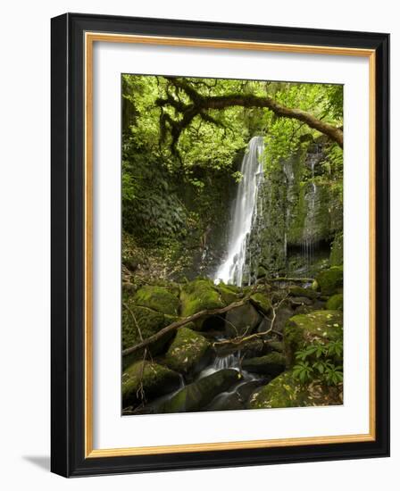 Matai Falls, Catlins, South Otago, South Island, New Zealand-David Wall-Framed Photographic Print