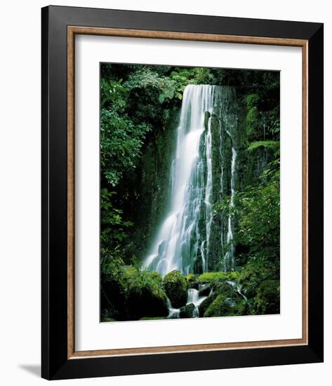 Matai Falls New Zealand-null-Framed Art Print