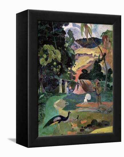 Matamoe (Death, Landscape with Peacock), 1892-Paul Gauguin-Framed Premier Image Canvas