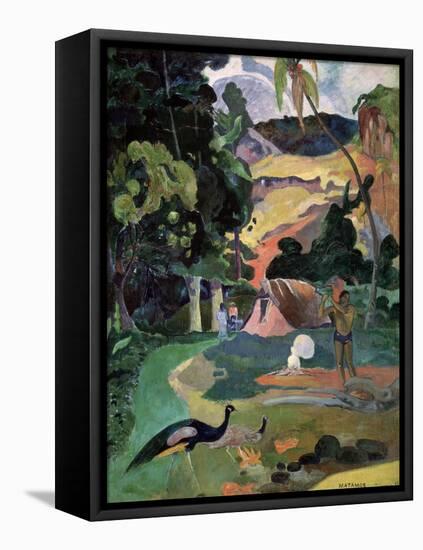 Matamoe (Death, Landscape with Peacock), 1892-Paul Gauguin-Framed Premier Image Canvas