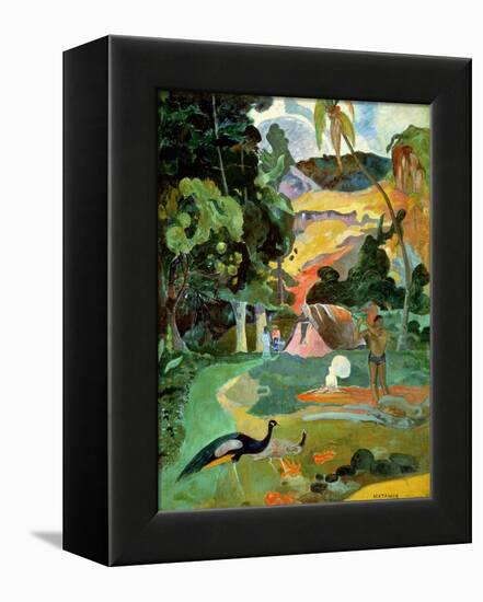 Matamoe Or, Landscape with Peacocks, 1892-Paul Gauguin-Framed Premier Image Canvas