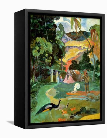 Matamoe Or, Landscape with Peacocks, 1892-Paul Gauguin-Framed Premier Image Canvas