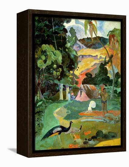 Matamoe Or, Landscape with Peacocks, 1892-Paul Gauguin-Framed Premier Image Canvas