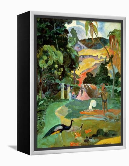 Matamoe Or, Landscape with Peacocks, 1892-Paul Gauguin-Framed Premier Image Canvas