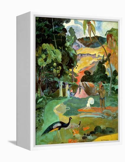 Matamoe Or, Landscape with Peacocks, 1892-Paul Gauguin-Framed Premier Image Canvas