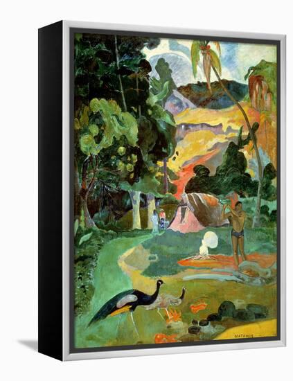 Matamoe Or, Landscape with Peacocks, 1892-Paul Gauguin-Framed Premier Image Canvas