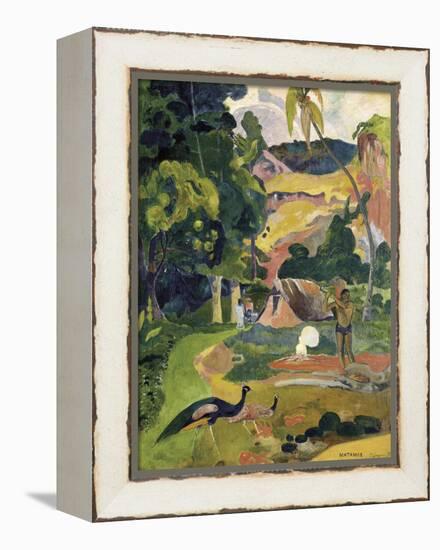 Matamoe or Landscape with Peacocks-Paul Gauguin-Framed Stretched Canvas