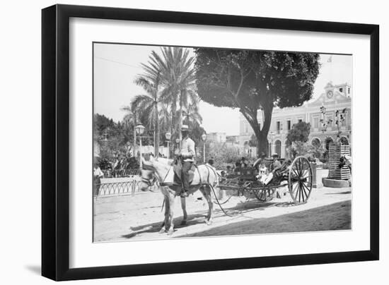 Matanzas Volanta, Large Wheeled Horse Drawn Tourist Coach-null-Framed Photo