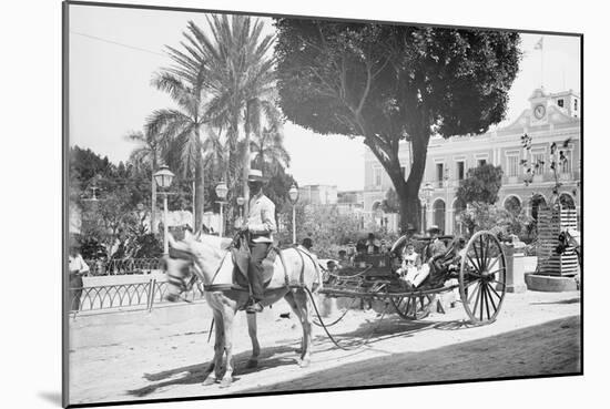 Matanzas Volanta, Large Wheeled Horse Drawn Tourist Coach-null-Mounted Photo