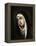 Mater Dolorosa, 1660-1670-Bartolome Esteban Murillo-Framed Premier Image Canvas