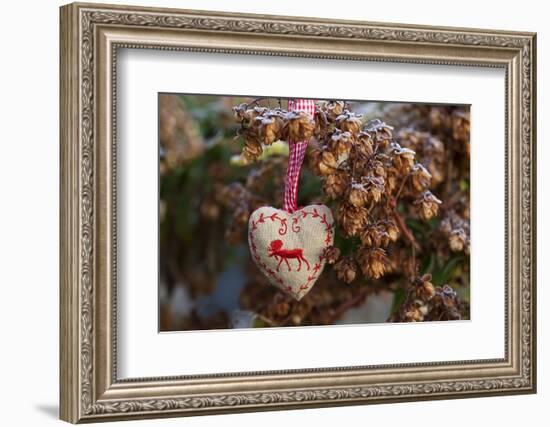 Material Heart with Elk's Motive, Hop-Andrea Haase-Framed Photographic Print