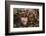 Material Heart with Elk's Motive, Hop-Andrea Haase-Framed Photographic Print