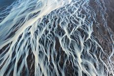 Silhouette of Dunlin foraging in shallow waters, Poland-Mateusz Piesiak-Photographic Print