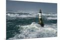 Premium Photographic Print