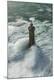 Premium Photographic Print