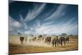 Photographic Print