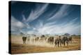 Stretched Canvas Print