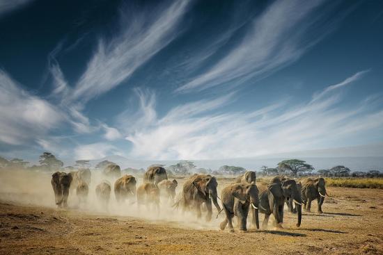 Photographic Print, , large