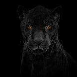 Black Panther-Mathilde Guillemot-Giclee Print