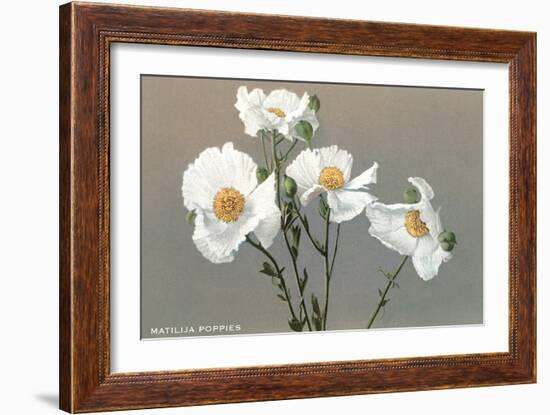 Matilija Poppies-null-Framed Art Print