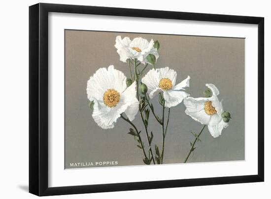 Matilija Poppies-null-Framed Art Print