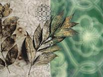 Leaf Kaleidescope 1-Matina Theodosiou-Art Print