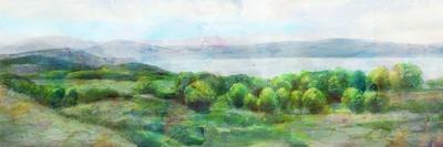 Fern Panorama-Matina Theodosiu-Art Print