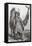 Mato-tope, Mandan Chief-Science Source-Framed Premier Image Canvas