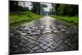 Premium Photographic Print